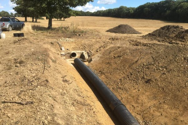 WhatsApp Image 2024-09-23 at 21.25.45