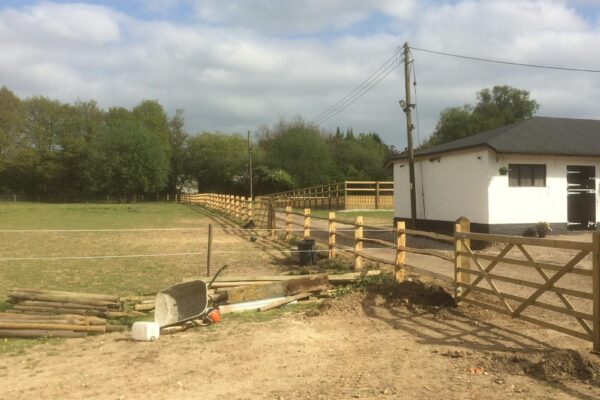 WhatsApp Image 2024-09-23 at 21.25.47 (1)